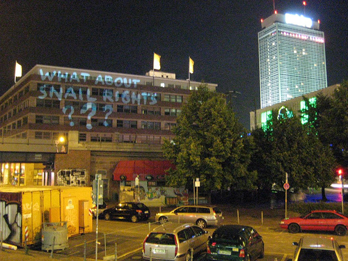 outside1.jpg